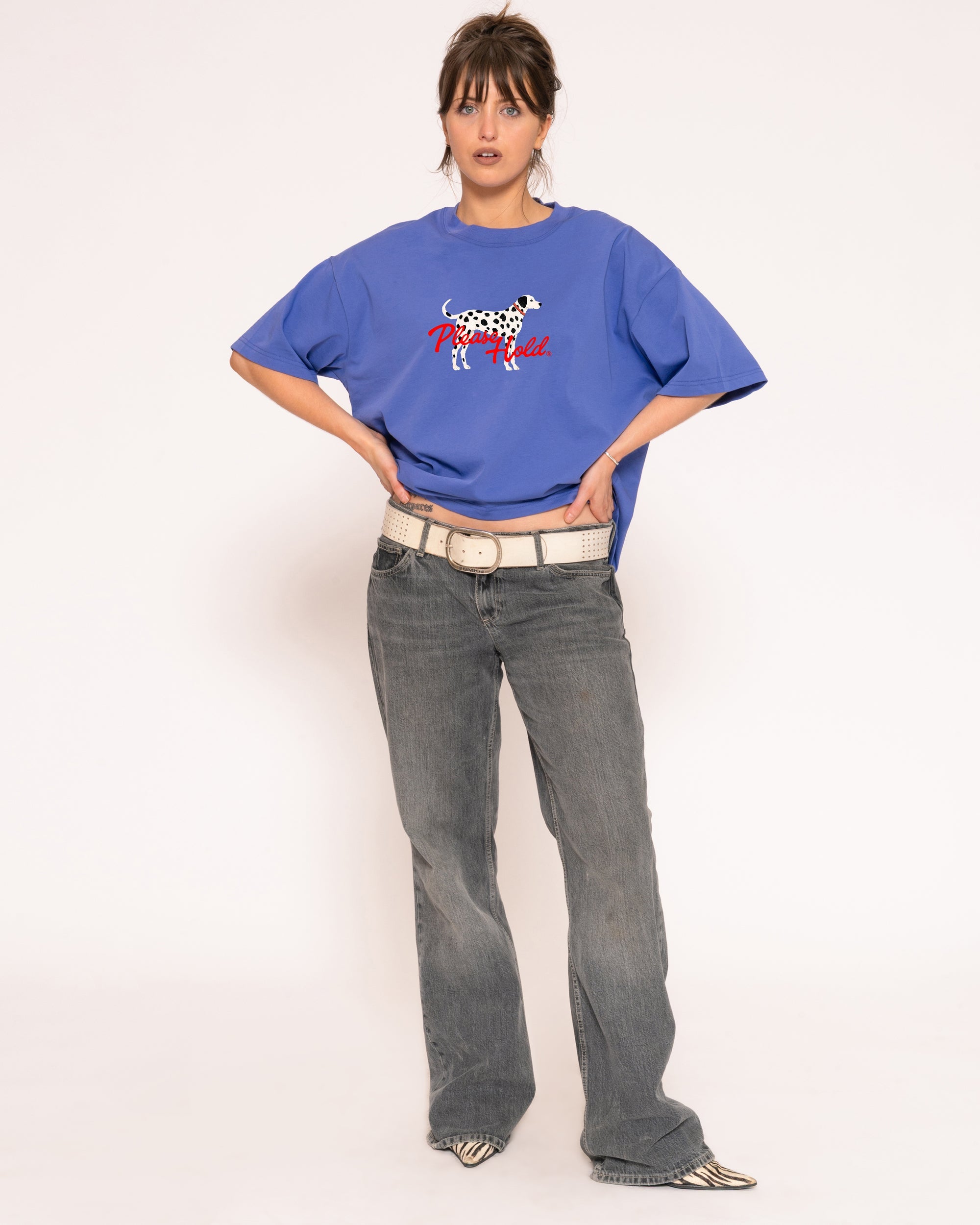 Dalmatian Boxy Tee